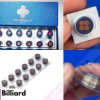 Dau-co-Bida-Hanbat-8-lop-bidacamau-